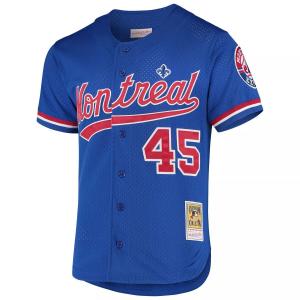 Мужская сетка для тренировок Mitchell & Ness Pedro Martinez Blue Montreal Expos 1997 Cooperstown Collection