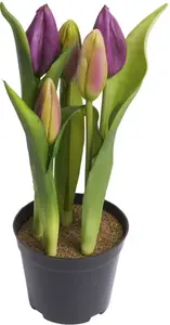Мой домашний искусственный цветок "тюльпан с 5 бутонами" My home Ø/12х23 см, цвет aubergine