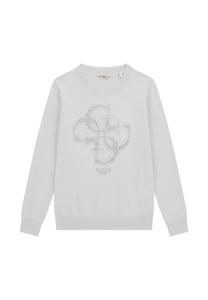 Джемпер Guess LOGO STRASS, Grau/Grey