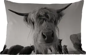 Подушка для улицы - Шотландский горный скот - Черный - Белый - Животные - 60 x 40 см - Водонепроницаемая - Подушка для отдыха - Декоративная подушка - Подушка для дома MuchoWow