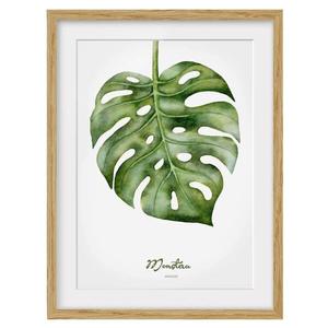 Картина Bilderwelten Aquarell Botanik Monstera IV, 30x40x2 см, зеленый