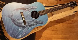 Martin Мартин DSS Биоcфера II