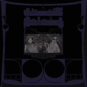 Виниловая пластинка LP Exotic Birds Of Prey - Shabazz Palaces