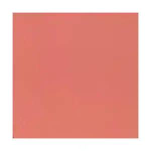 Коралл (1955) 626, Paints - Reds, Oranges, & Yellows (Mission Models)