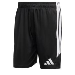 Обычные спортивные штаны ADIDAS PERFORMANCE Tiro 26, черный