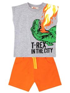 Спортивный костюм Denokids T-Rex Flame, серый
