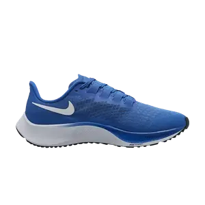 Кроссовки Nike Air Zoom Pegasus 37 TB, Game Royal
