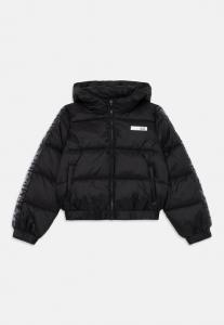 Зимняя куртка EA7 Emporio Armani JACKET, Black
