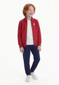 Спортивный костюм с графическим принтом и застежкой-молнией по всей длине Champion, Bordeaux/Dark Blue