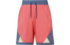 Повседневные шорты мужские Path Red Jordan