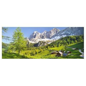 Стеклянная картина Bilderwelten Steiermark Almwiese