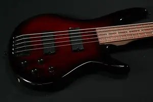 Ibanez GSR205SM-CNB Угольный коричневый взрыв - 585