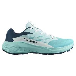 Кроссовки Salomon Alphaglide trail, синий