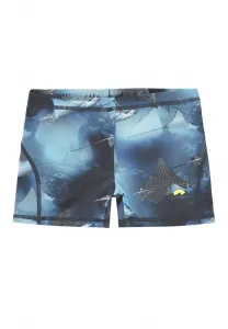 Плавательные шорты norton Molo, Into The Blue