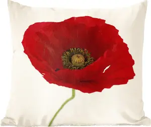 Декоративная подушка MuchoWow для дивана. Декоративная подушка для гостиной, 50x50 см. Крупный план красного мака. Комфорт. Подушка для дивана.
