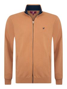 Толстовка с капюшоном на молнии Williot, цвет Dark yellow