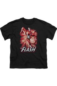 Футболка с коротким рукавом для детей "Лига справедливости Америки" Flash в красно-сером цвете Gildan