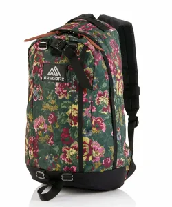 Рюкзак GREGORY Half Day 19L