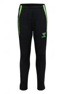 Спортивные штаны Hummel, Black Green Gecko