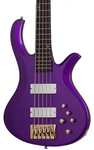 Электрический бас Schecter FreeZesicle-5. Цвет Freeze Purple