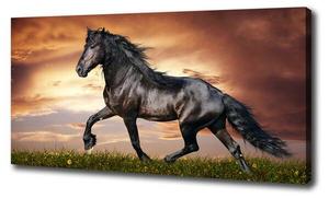 Фреска Tulup Pferd, коричневый