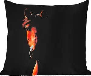 Подушка для улицы Лошадь - легкая - портрет - 60 x 60 см - водонепроницаемая - подушка для отдыха - декоративная - подушка для сна MuchoWow