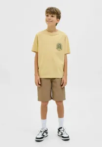 Свободные брюки чинос Jack & Jones Junior, Elmwood