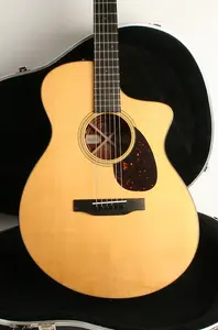 Martin SC-18E стандартная серия 2861171