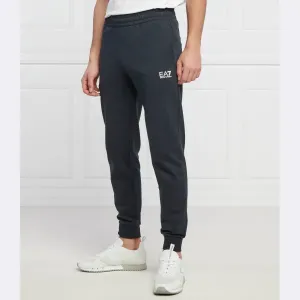 Спортивные брюки стандартного кроя Ea7, синий