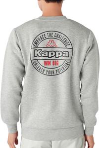 Мужская толстовка Kappa 245365, принт на спине, художественный дизайн, флисовая подкладка, серый