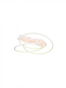 Trio Leuchten Потолочный светильник DARVIN в матовом белом цвете