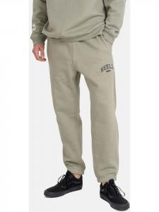 Спортивные брюки Team Sweatpants зеленого цвета Reell