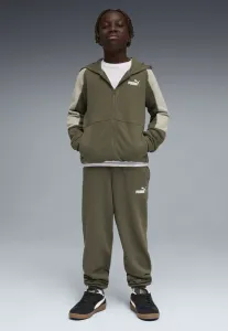 Основной спортивный костюм Puma, Loden Green