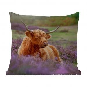 Уличная подушка MuchoWow - Шотландский горец - Коричневый - Кусты - 50x50 см - Устойчивость к атмосферным воздействиям - Подушка для отдыха - Чехол на подушку - Хлопчатобумажная ткань - Декоративные чехлы на подушки, мультиколор