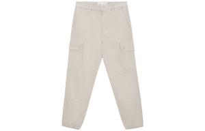 Повседневные брюки SURPLUS + UTILITY Champion, серый