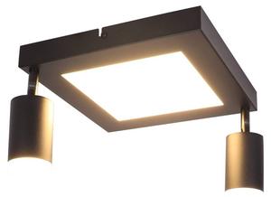 Потолочный светильник Nettlife Blaubeuren 2-flammig, черный