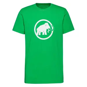 Футболка с коротким рукавом Mammut Core Classic, зеленый