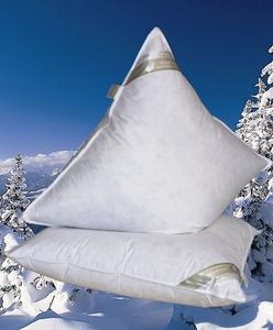 В упаковке 2 парадные подушки пуховые подушки экстра высокие 80х80 1550г Betten Hofmann