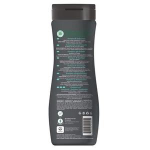 ATTITUDE 2в1 Шампунь и гель для душа против перхоти для мужчин 473 мл Super Leaves