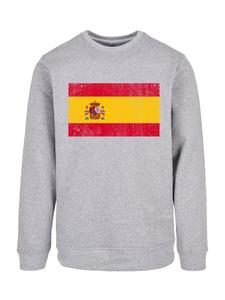 Свитер F4NT4STIC Sweatshirt Spain Spanien Flagge, серый