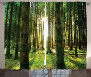 Летняя штора в деревенском стиле ABAKUHAUS, Солнечный день в лесу, универсальная ленточная штора для гостиной с петлями и крючками, 280 x 225 см, зелено-белый Abakuhaus