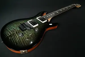 MINT PRS Custom 24 Floyd 10-Top - Пользовательский цвет - Forest Green Wrap Burst с Black Wrap Burst - натуральная задняя часть 409