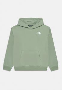 Худи The North Face TEEN ESSENTIAL OVERSIZED HOODIE UNISEX, Slate Moss/Light Green