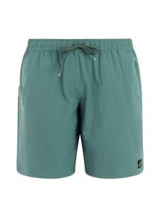 PROTEST Плавки 'PRTMapple' в зеленом цвете