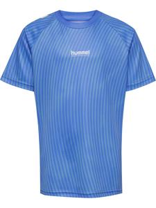 Футболка Performance Hummel Goal, цвет Royal blue/Dusty blue