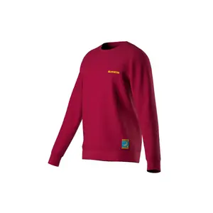 Мужской свитшот Climbing on the Moon M от LA SPORTIVA, жёлтый