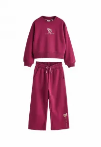 Спортивный костюм из двух частей: университетский и свободный. Baker By Ted Baker, Burgundy Red