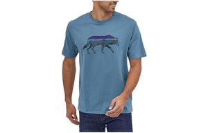 Футболка мужская Patagonia Back For Good, черный цвет BL KB