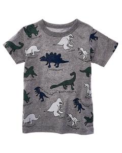 Футболка Chaser Dino Jam для мальчиков Chaser, серый