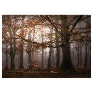 Картина на холсте A.S. Création Dingemans, коричневый